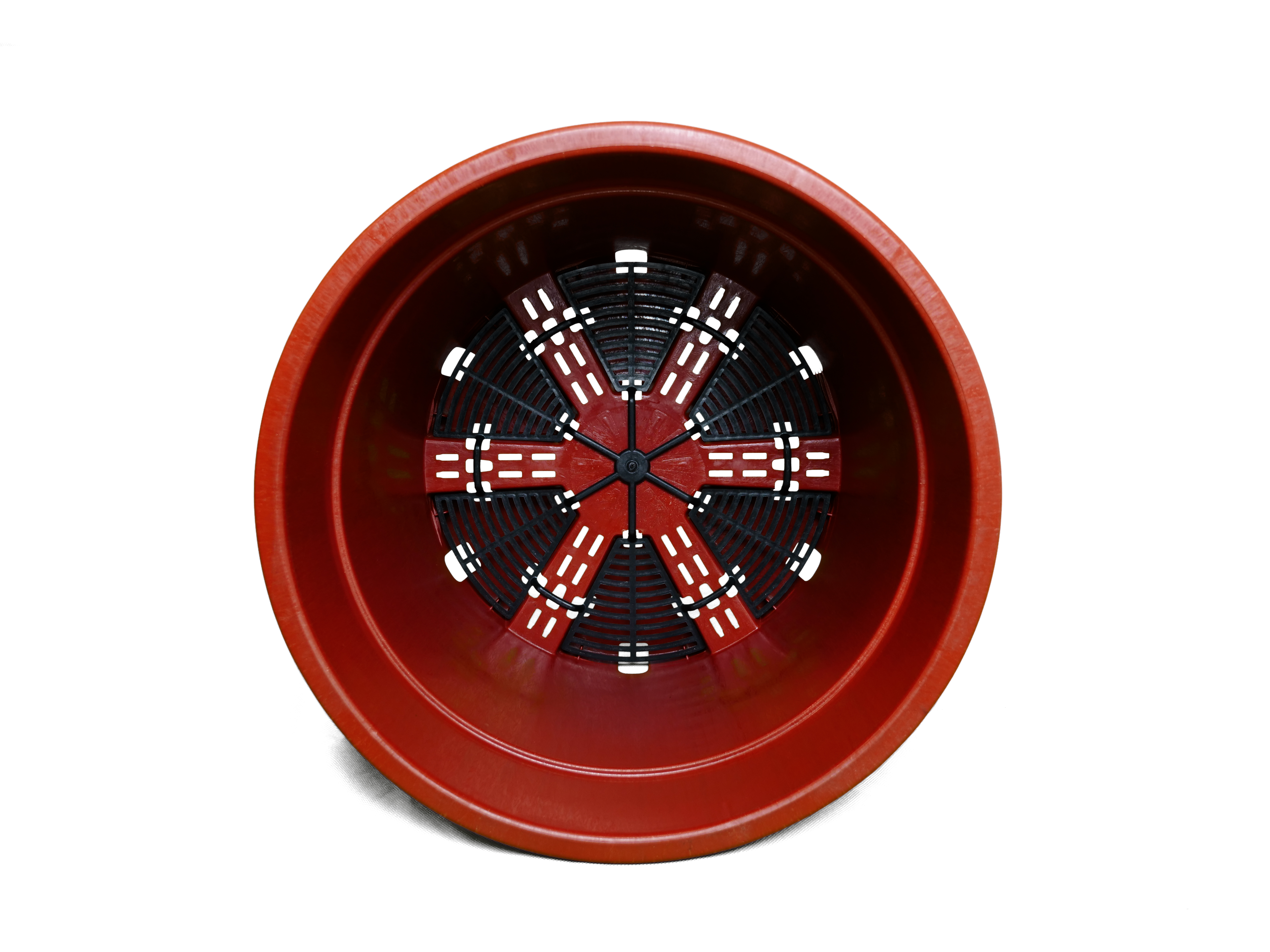 Saksija za borovnice