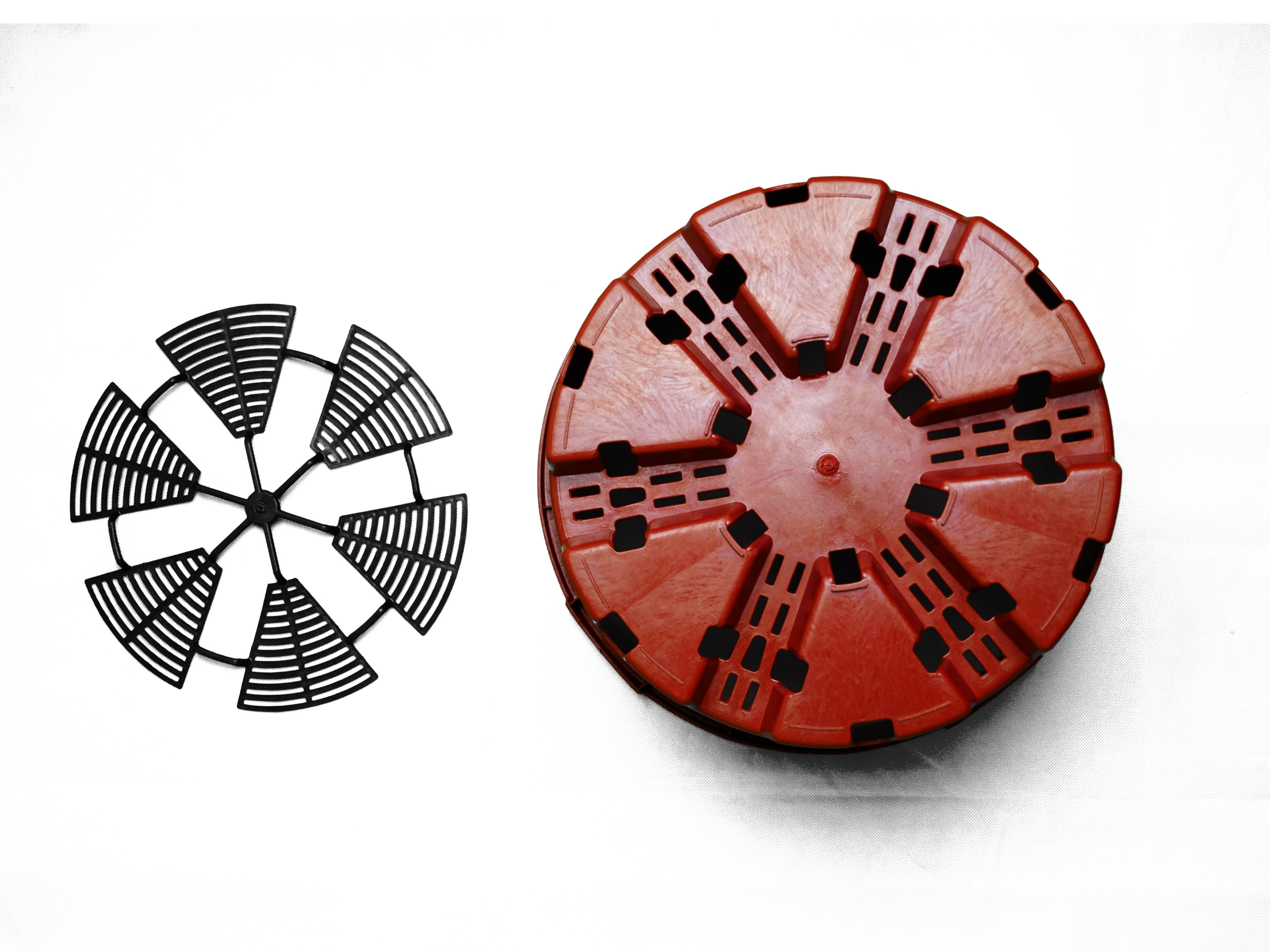 Saksija za borovnice