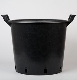 Pot with handles